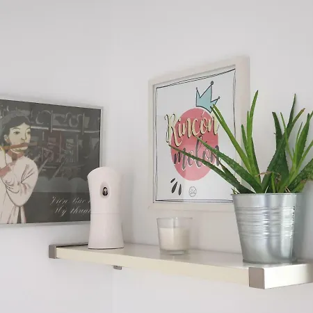 Piso Centro Con Garaje Oviedo